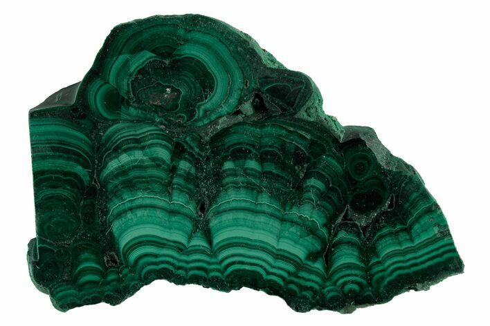 Polished Malachite Slab - Congo #220531